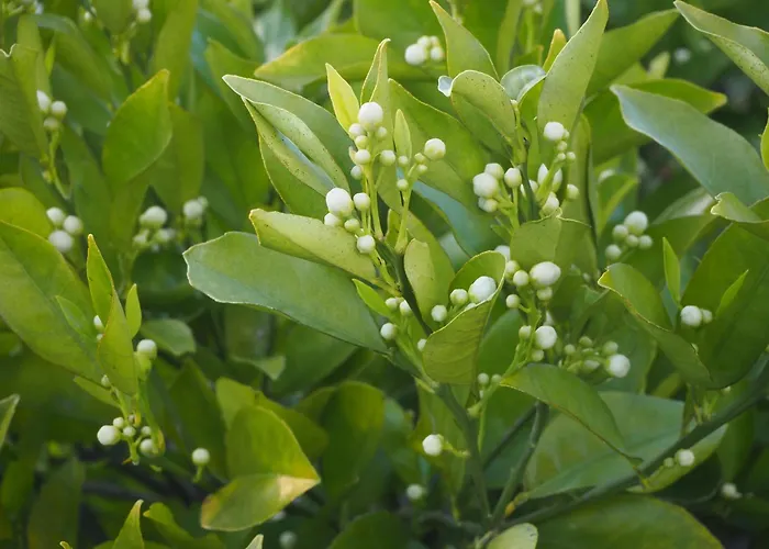 Au Bain Marie Ferienhaus *