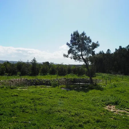 Au Bain Marie בית נופש סאו מרטיניו דו פורטו