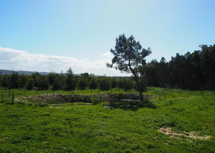 Au Bain Marie Casa de Férias São Martinho do Porto